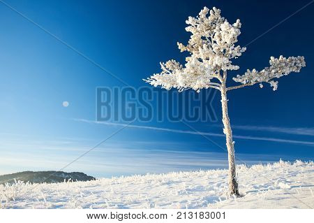 Winter in the Karkaraly Mountains.
Karkaraly mountains - a mountain range in the Karaganda region of Kazakhstan.