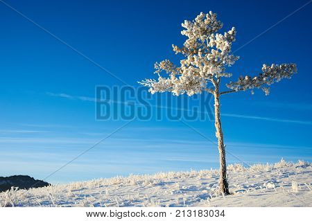 Winter in the Karkaraly Mountains.
Karkaraly mountains - a mountain range in the Karaganda region of Kazakhstan.