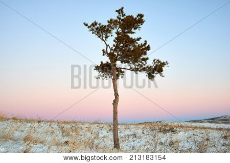 Winter in the Karkaraly Mountains.
Karkaraly mountains - a mountain range in the Karaganda region of Kazakhstan.