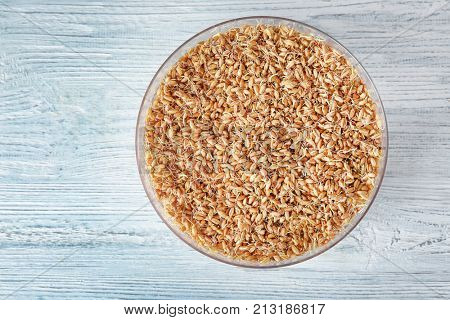 Sprouter with wheat grass seeds on wooden table