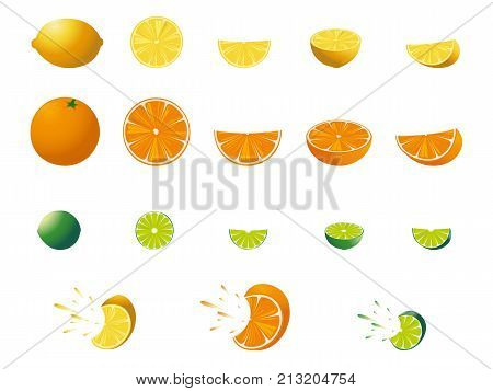 Fresh citrus orange, lemon, lime Vector illustration