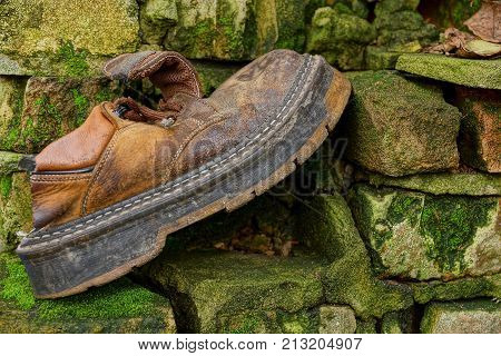 A large old and ragged shoe on a brick wall in moss.