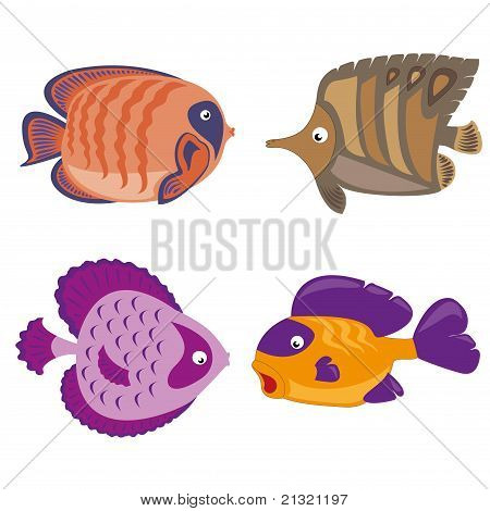 marine life