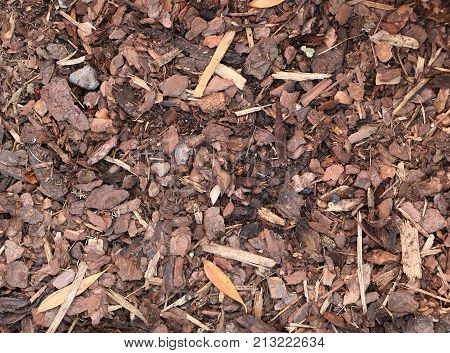 Bark mulch background texture small wood chips of wood - used as a soil covering in garden