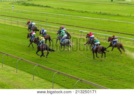 Horse Race Jockey Action