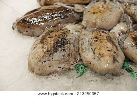 The Boqueria market in Barcelona. Fished Cuttlefish. Fresh cuttlefish lie on the cold ice. Fresh seafood on the stall of the fish market.