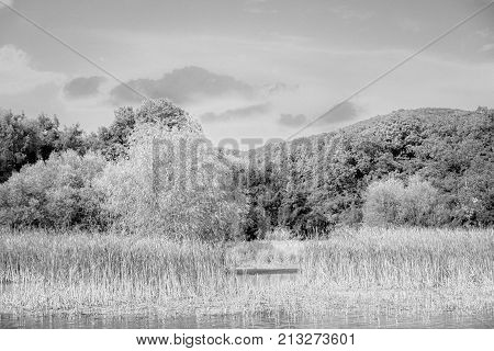 Landscape Green Forest To The Lake