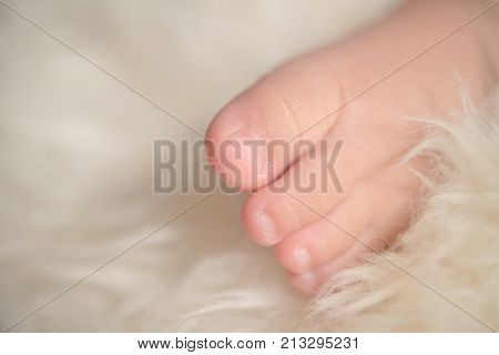 Small bare feet of a little baby girl or boy. Sleeping newborn child. Bare feet of a cute newborn baby in warm white blanket.