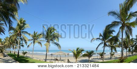 Panoramic iew of Mancora, Peru with palm trees on a clear day