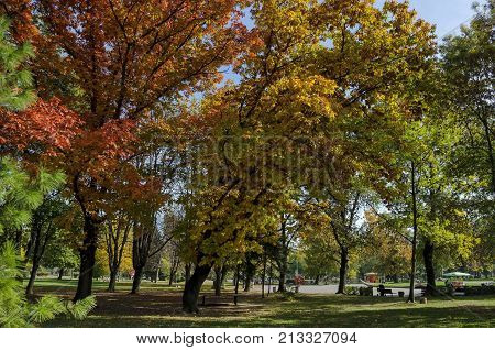 Popular Zaimov park  for rest and walk with auntual  yellow and red foliage, Oborishte district, Sofia, Bulgaria