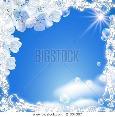 Himmel und weiße Blumen
