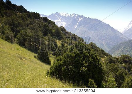 beautiful mountains in Kazakhstan. nature . In the park in nature