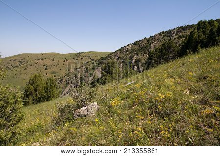 beautiful nature. Mountains in Kazakhstan . In the park in nature