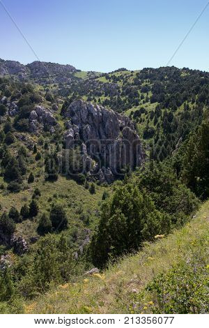 beautiful nature. Mountains in Kazakhstan . In the park in nature