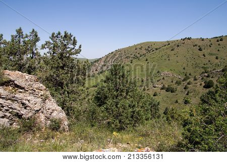 beautiful nature. Mountains in Kazakhstan . In the park in nature