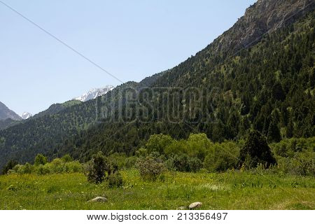beautiful nature. Mountains in Kazakhstan . In the park in nature