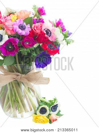 Fresh bunch of Anemones and roses flowers bouqet in glass vase close up isolated on white background
