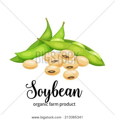 Vector soybean in cartoon style for template label, packing and emblem farmer market design