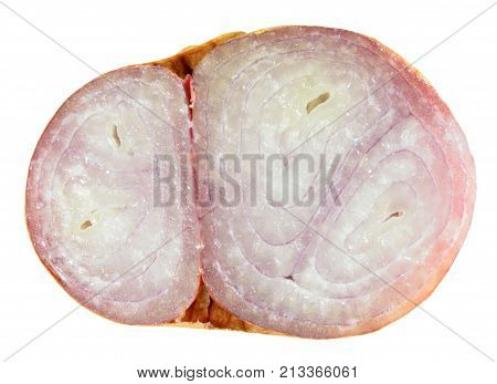 Shallot bulb cut in half inside cross section isolated on white background