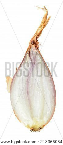 Shallot bulb cut in half inside longitudinal section isolated on white background