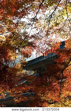 Naejangsan Mountain, Beautiful mountain of South Korea