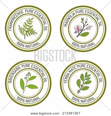 Set of essential oil labels. Hand drawn vector illustration