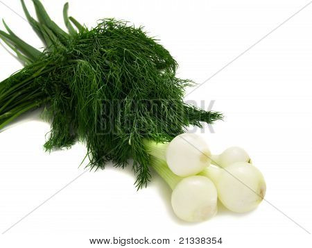 Mladé cibulky s koprem