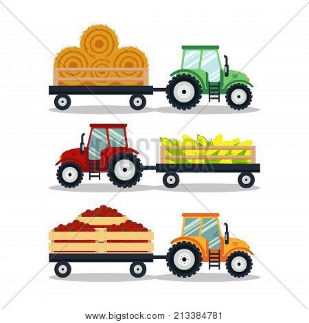 Set flat tractors with a cart corn, hay, tomato isolated on white background. The agricultural machinery transports for farm with harvest - vector illustration.