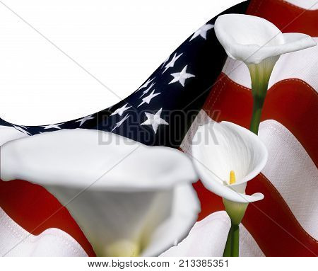copy space with usa flag and calla lilyum flowers for graphical concept