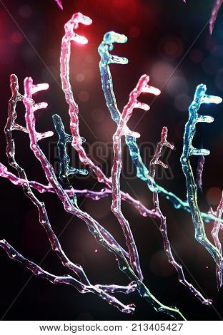 Frosen Icicles On Tree Branches Night Sceen