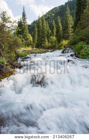 River and forest in mountains (river, forest, landscape)
