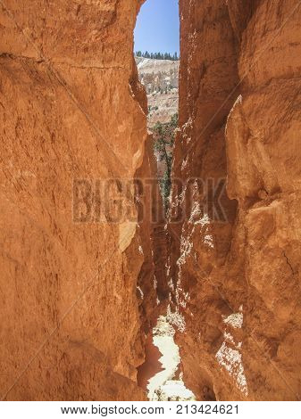 rocky scenery at the Bryce Canyon National Park located in Utah in USA