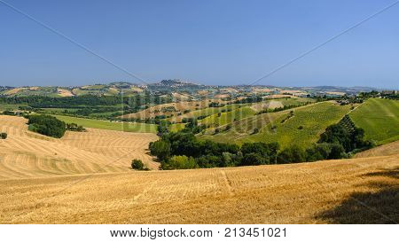 Rural landscape at summer along the road from Fermo to Monterubbiano (Marches italy)