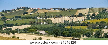 Rural landscape at summer along the road from Castelfidardo to Recanati (Ancona Marches italy)
