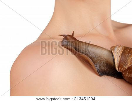 Ahatina on a body creeps towards the shoulder of a girl close-up on a white isolated background