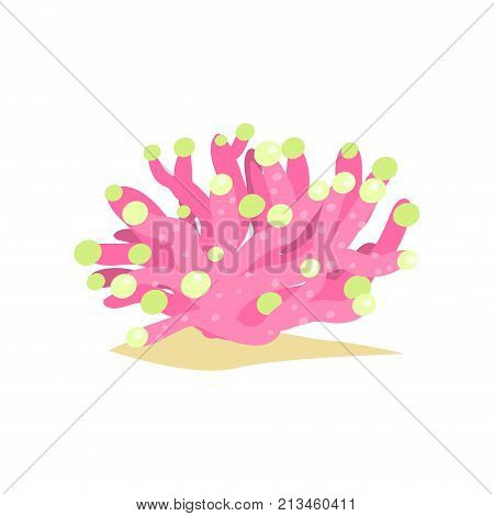 Colored soft tube shaped coral from tropical reefs. Pink underwater plant. Sea and ocean wildlife concept. Cartoon invertebrate animal isolated on white background. Vector illustration in flat design