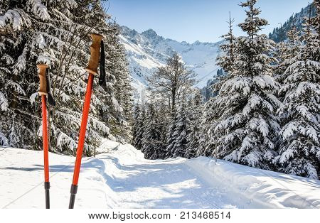 Pair of red ski sticks in snow. Sporting activity in mountains winter landscape and forest. Allgau Alps, Bavaria in Germany.