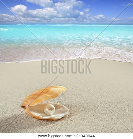 เพิร์ลคาริบเบียนภายในเปลือกหอยที่ชายหาดทรายขาว