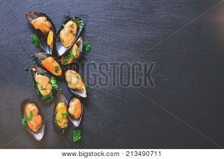 Mussels, molluscs, seaweed, sea plants, ice on old vintage rustic metal background. Top view, copy space. Toned sunny effect