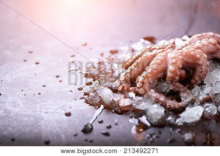 Fresh raw octopus on ice, grey concrete background. Top view, copy space. Toned sunny effect and sunlights