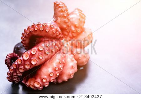 Boiled octopus on metal background with copy space. Toned sunny effect and sunlights