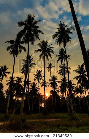 Tropical Landscape Of Koh Kood