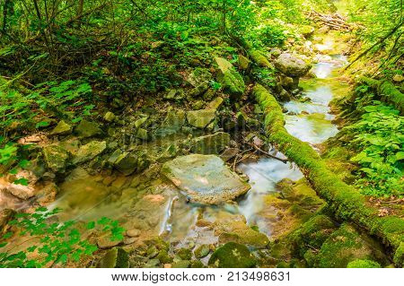 Little creek with boulders and mossy log in the ravine Chudo-Krasotka in sunny summer day Sochi Russia