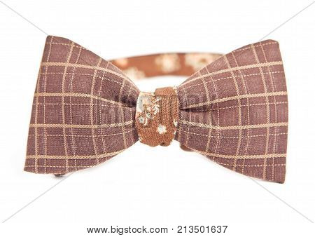 brown bow tie in cell and lines in front of white background.