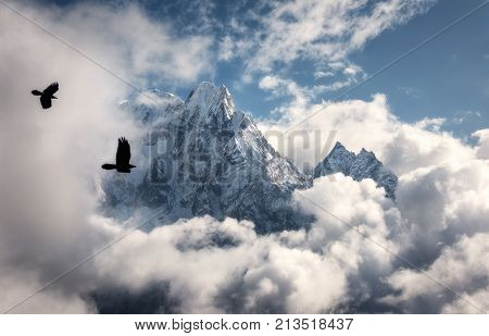 Flying Birds Against Majestical Manaslu Mountain With Snowy Peak In Clouds