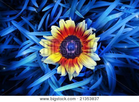 Abstrakt stilisierte Foto eine lebendige Sonnenblume mitten in gesättigte blaue klingen aus Gras