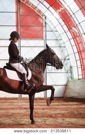 A sweet girl jockey rides a horse in a covered arena. Training of the Spanish lynx. A pedigree horse for equestrian sport.