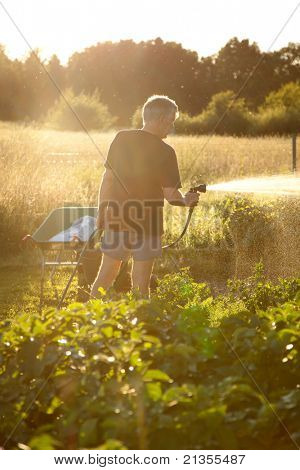Hombre rociando agua con las verduras con una manguera de jardín.