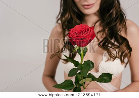 Girl In White Lingerie Holding Rose