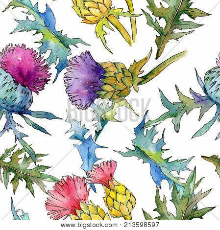 Wildflower thistle flower pattern in a watercolor style. Full name of the plant: thistle. Aquarelle wild flower for background, texture, wrapper pattern, frame or border.